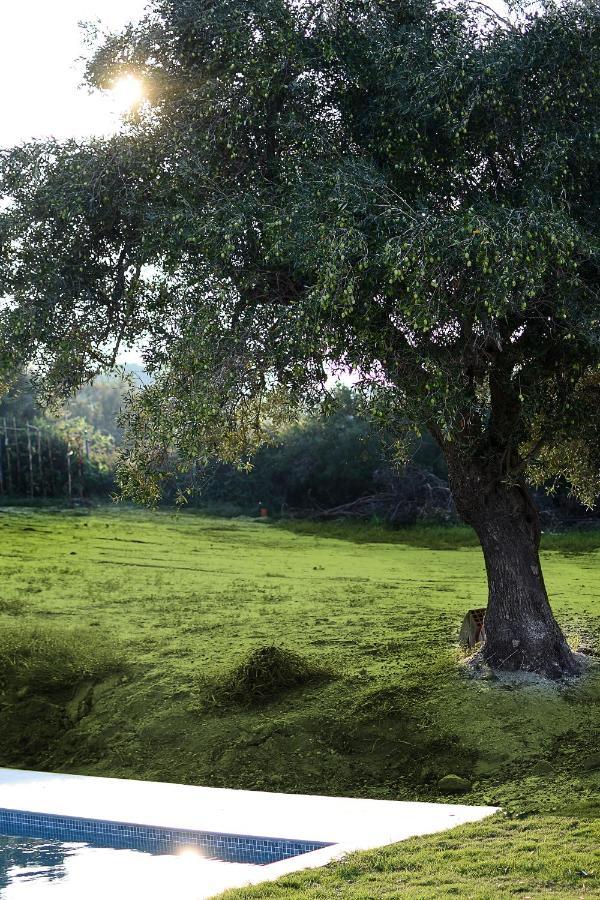 Olive White Villa Χανιώτη Εξωτερικό φωτογραφία